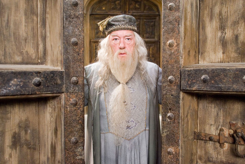 Dumbledore standing in between the door