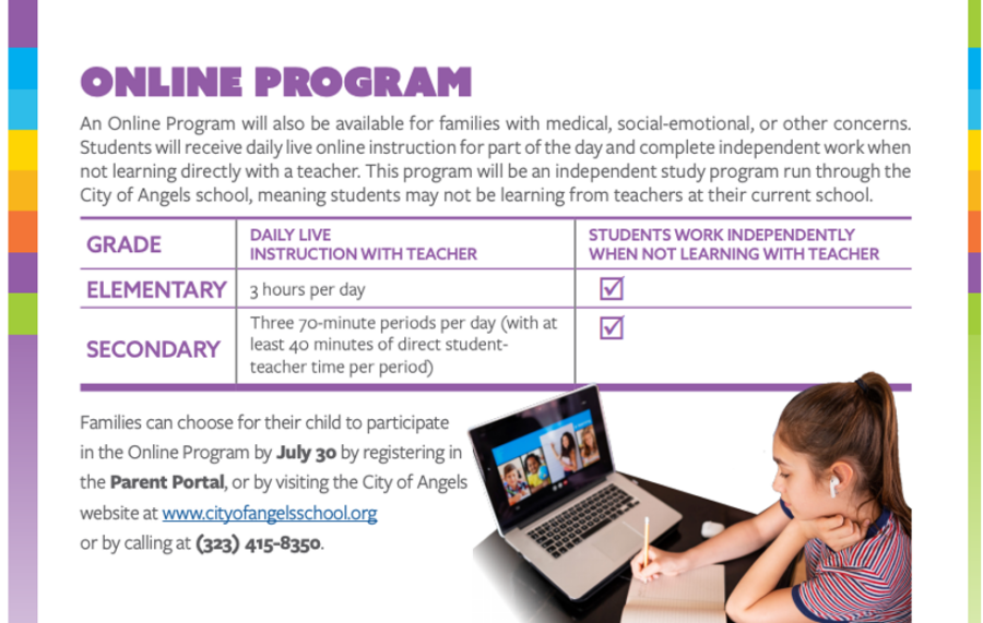 Online Education Program Flyer